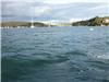 Salcombe and boats