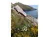 Rame Head 3