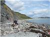 Fossil hunting at Lyme Regis